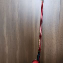 Shakespeare Firebird Spincast Combo
