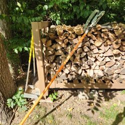 Tree Trimmer Branch Cutter Extended Height