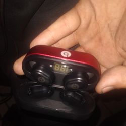 Beats Earbuds 