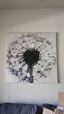 Dandelion Canvas