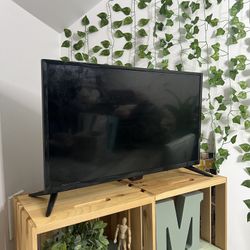 Insignia™ - 24" Class F20 Series LED HD Smart Fire TV 2021