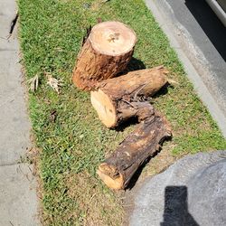 Free firewood