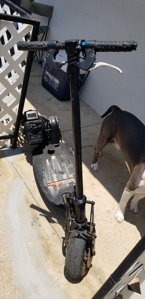 MOBY 33 BLADEZ GAS SCOOTER