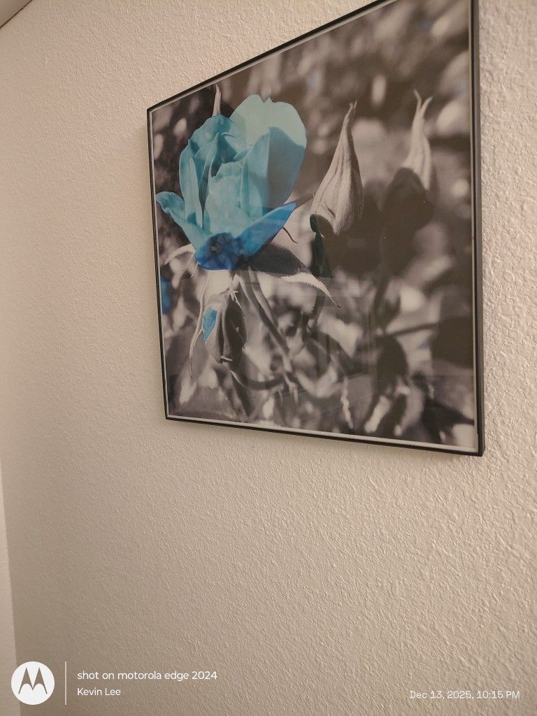 Set of 4 Blue Rose Framed Prints