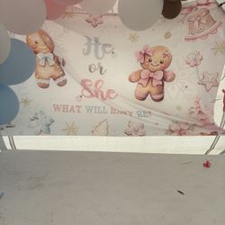Gender Reveal Backdrop 