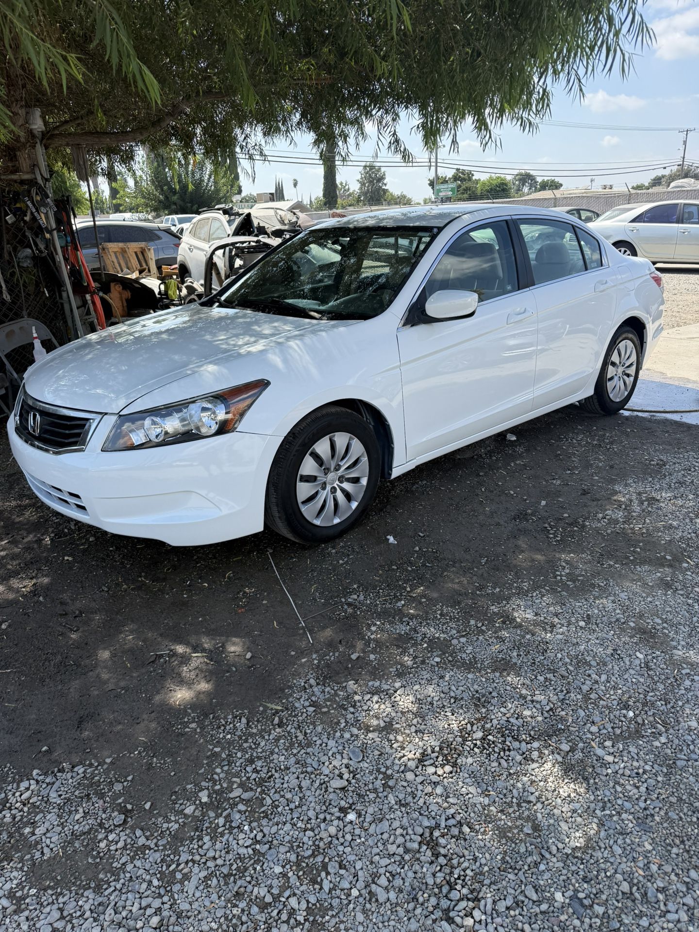 2010 Honda Accord