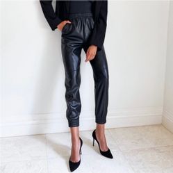 Aritzia Babaton Zedel Vegan Leather Joggers