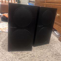 Pioneer SP-BS21-LR
