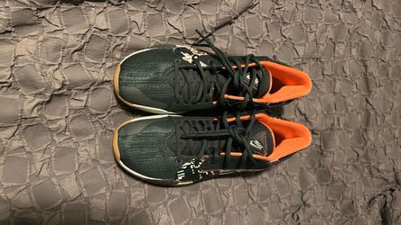 Nike zoom freak 2