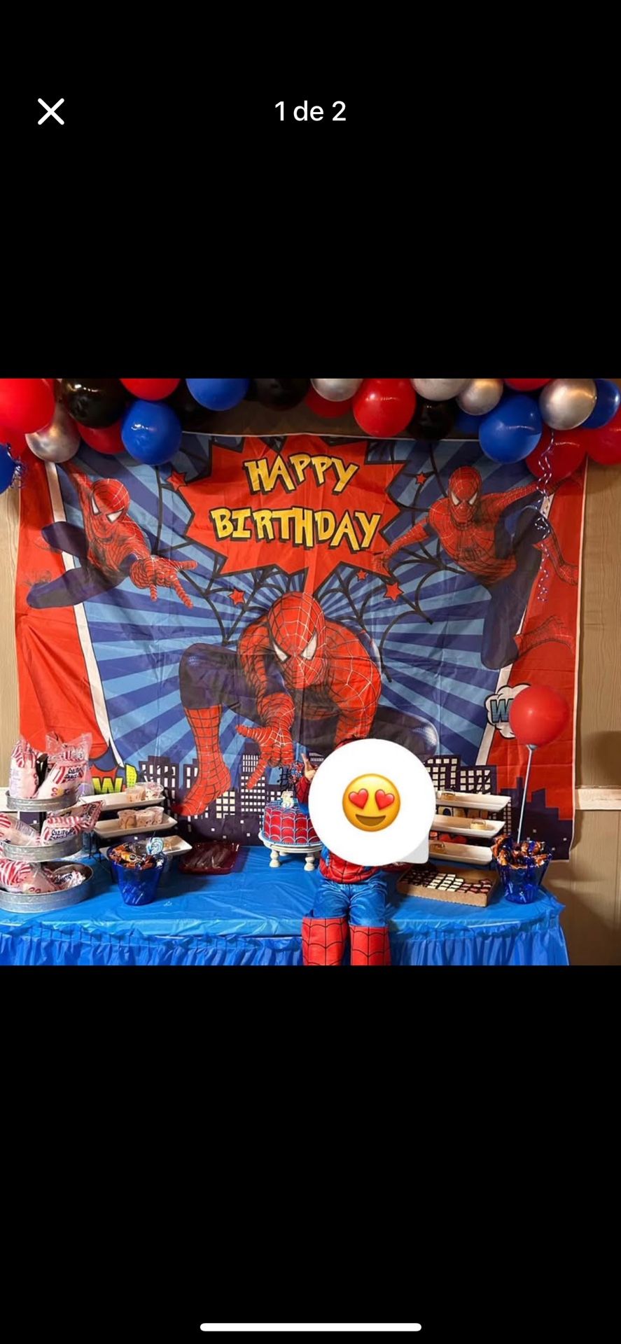 Spiderman Party Backdrop