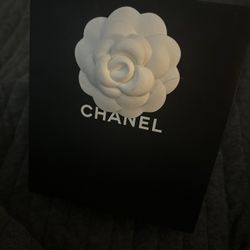 Luxury Earrings