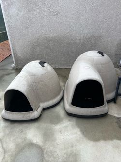 Igloo dog houses Large or X-Large
