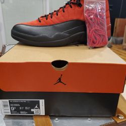 AIR JORDAN 12' REVERSE FLU