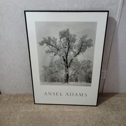 Framed Ansel Adams Oak Tree Snowstorm Yosemite Valley California 1948