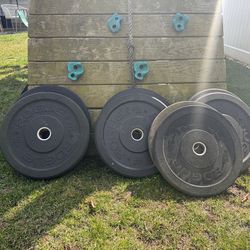 ROGUE US-MIL SPEC BUMPER V2 - 230lb Set