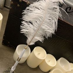 Like new special event receiving feather pen