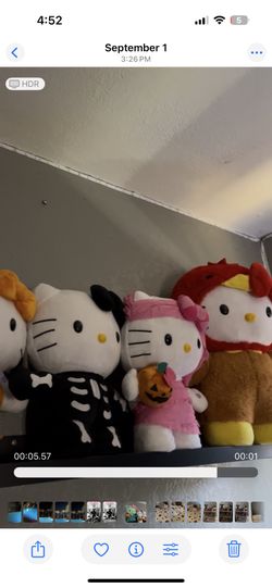 Hello Kitty Halloween Decorations 