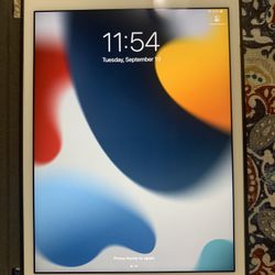 Apple iPad Mini 4th Generation 128GB Unlocked Like New!