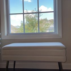 🔥 Bench with Storage  Modern I have 2