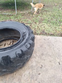 Llanta Para  Ejercicio   Gratis 