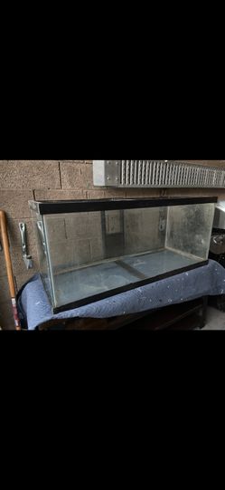 Fish Tank