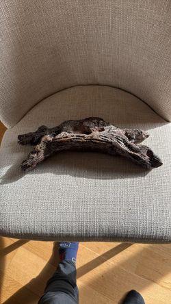 Handmade tree trunk pottery 