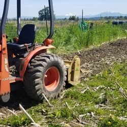 Tilling...clearing 