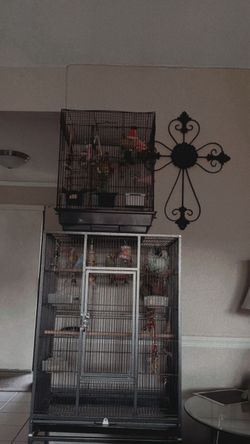 Bird cage