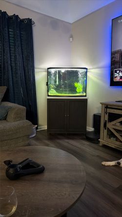 36 Gallon Bow Front And Stand