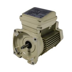 Pentair pump motor