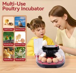 Multi-Use 12 Egg Incubator