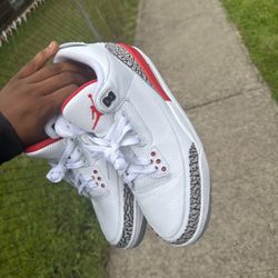 Jordan 3s  Hall Of Fames 