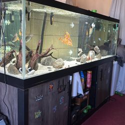Fish Tank Decor 