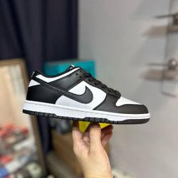 Nike Shoe Panda