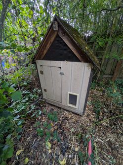 Doghouse, With Entrance