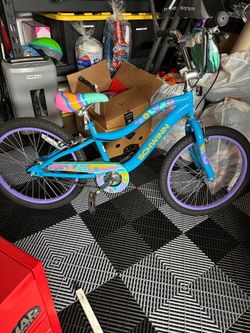 Schwinn Bike New