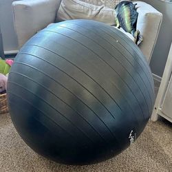 Weighted Exercise Ball