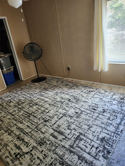Area Rug 8' x 10' abstract pattern