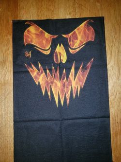 Face shields or mask