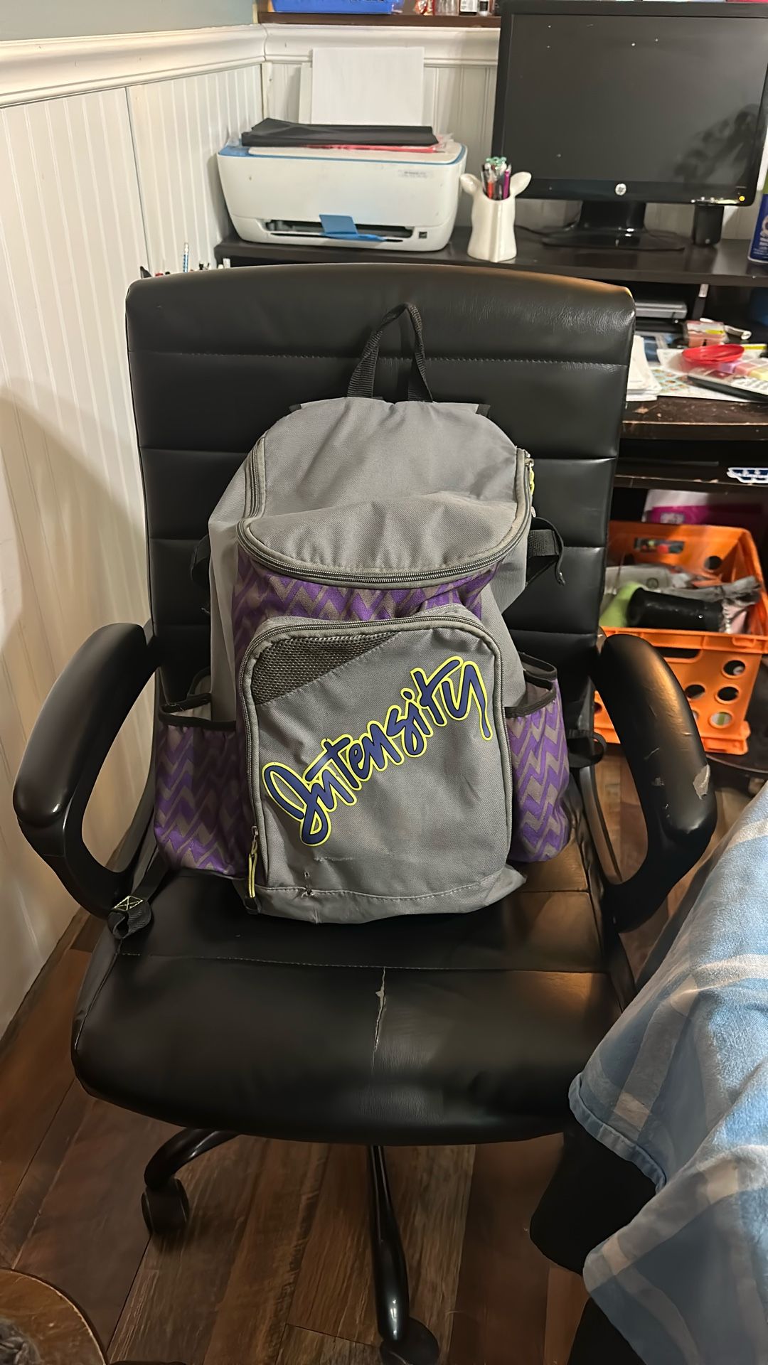 softball/baseball bag