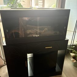 Cage And Stand 