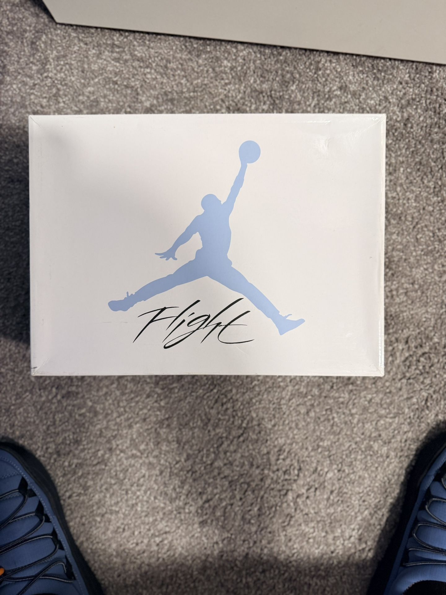 Jordan 4s