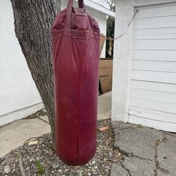 Boxing Bag 