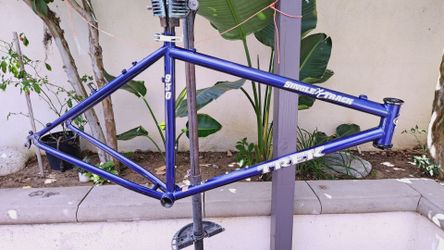 Trek frame