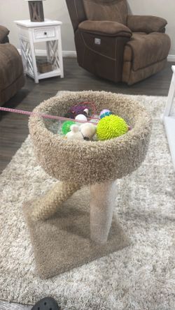 cat scratcher