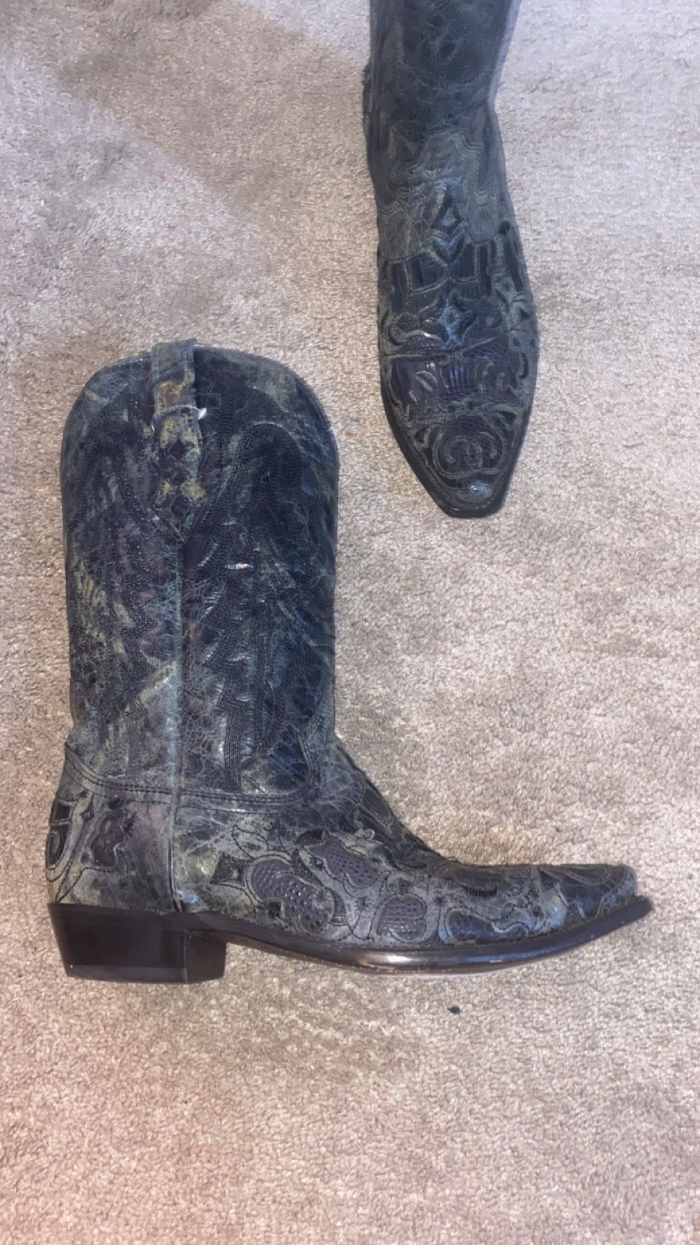 Alligator Skin Black Corral Boots