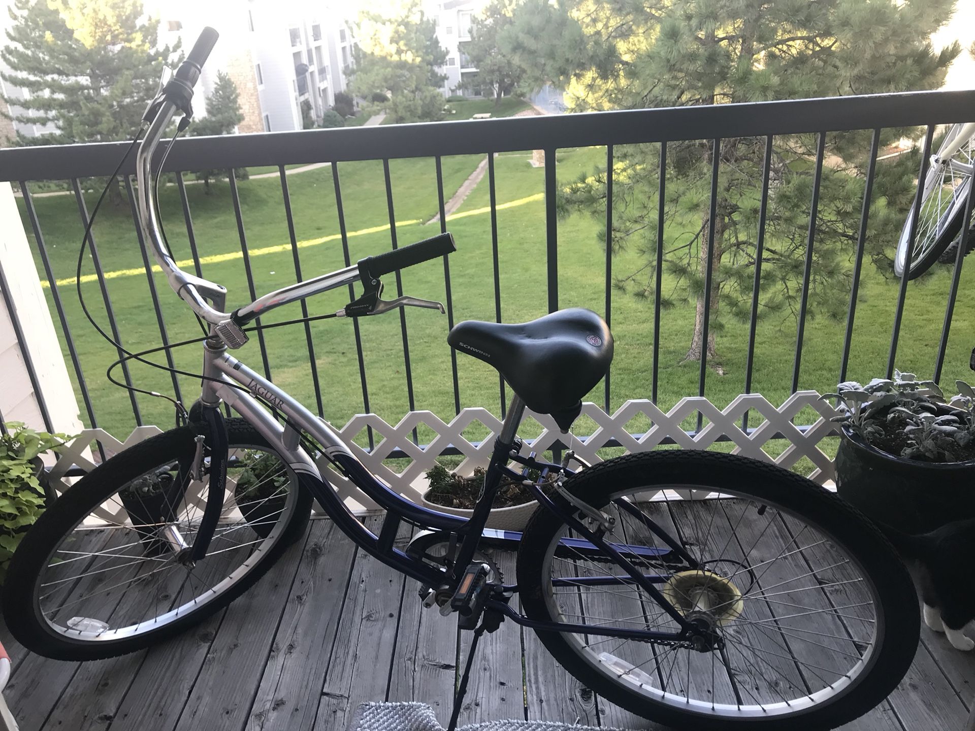 Schwinn cruiser bike