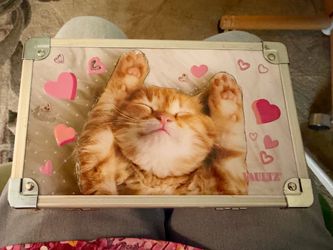 Vaultz Decorative Storage Box with Cat Design