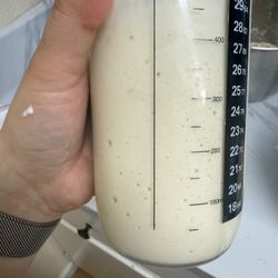 Sourdough Starter