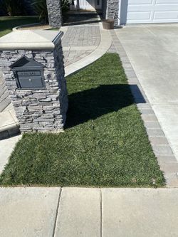 Farm Fresh Sod !